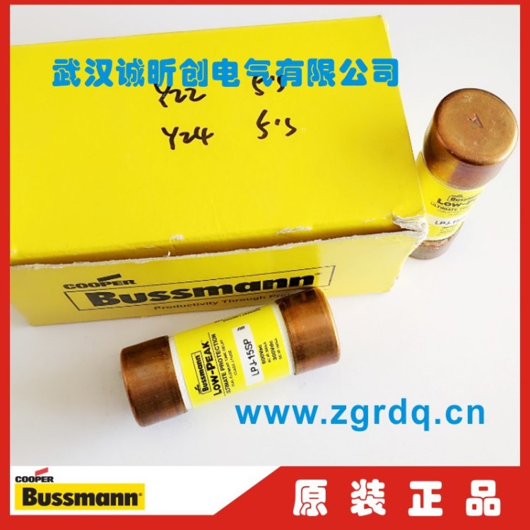 巴斯曼美國(guó)BUSSMANN保險(xiǎn)絲LOW-PEAK熔斷器LPJ-9SP 9A 600V