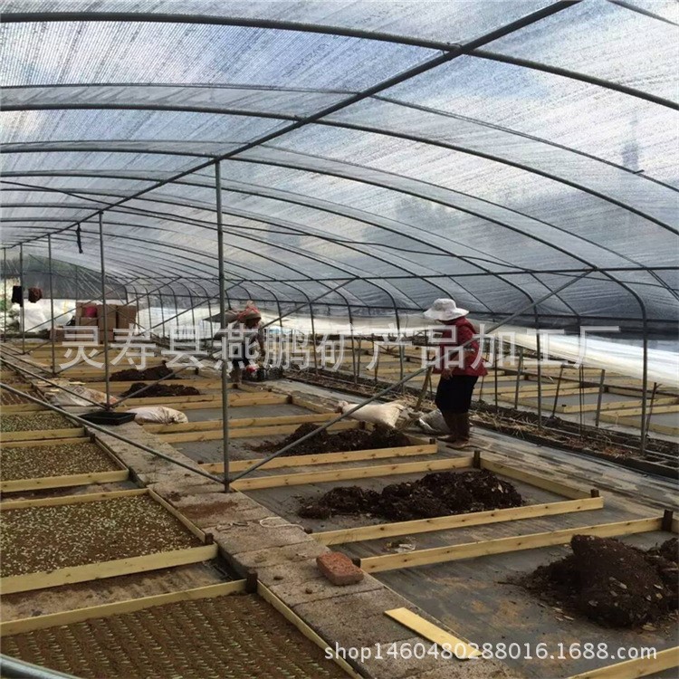 燕鵬供應大棚蔬菜蛭石育苗扦插蛇孵化蛭石多肉無土栽培基質