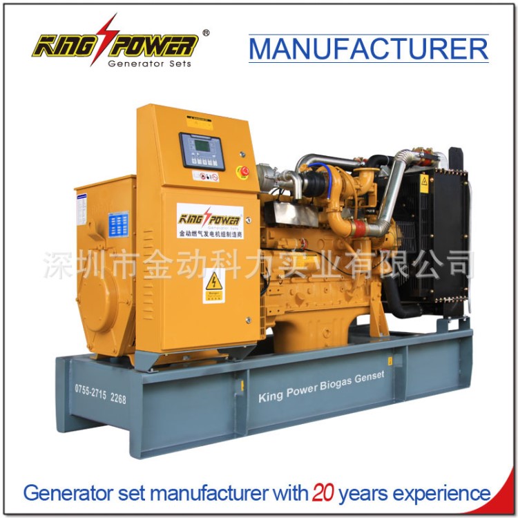 廠家直銷國產(chǎn)小型頁巖氣發(fā)電機(jī)組 瓦斯氣發(fā)電機(jī)組 發(fā)電設(shè)備