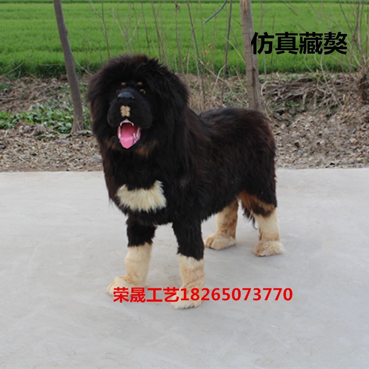 仿真藏獒犬擺件大型狗模型影視攝影道具櫥窗裝飾真皮毛動物工藝品