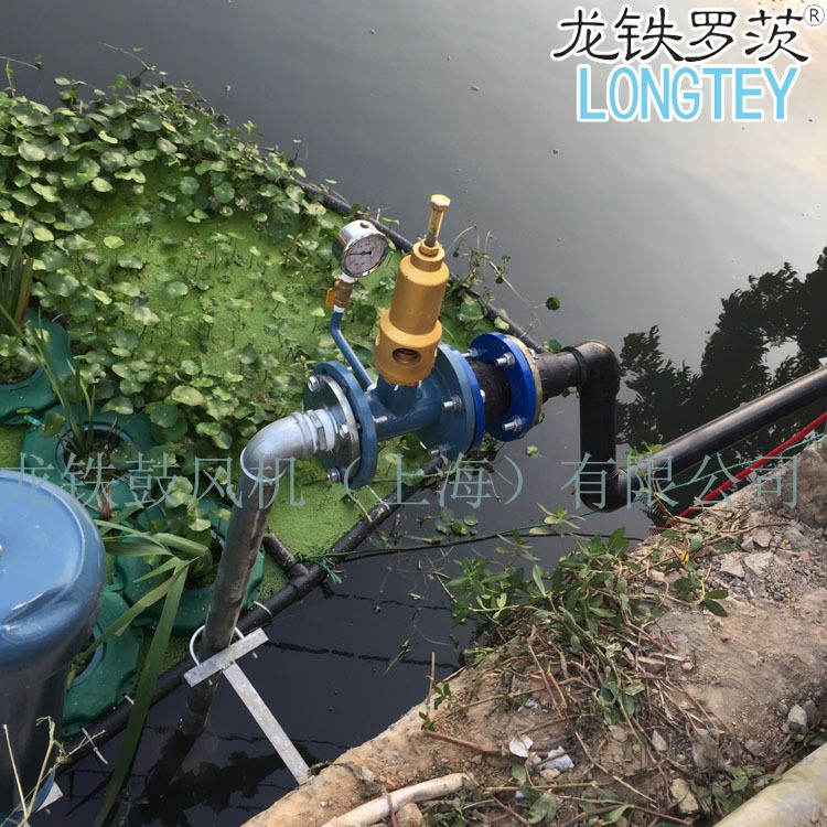 龍鐵沉水式鼓風機LTW-8055城市河道治理專用 廠家鑄造