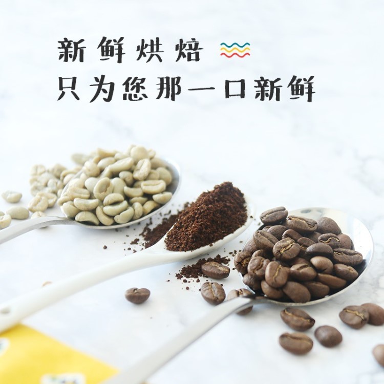精品咖啡 豆豆肥哥斯達(dá)黎加咖啡豆 豆現(xiàn)烘焙可代磨黑粉227g