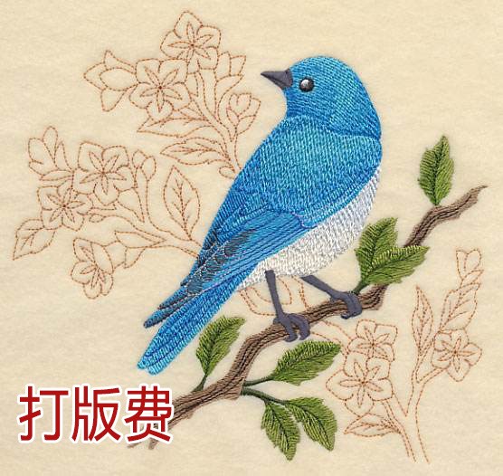 承接 各種電腦繡花制版  刺繡制版可繡版 打樣打版