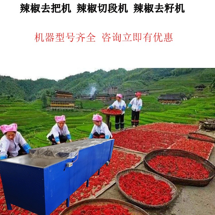 廠家直銷 辣椒去把機(jī) 滾筒朝天椒切斷機(jī) 辣椒剪把機(jī)切柄機(jī)