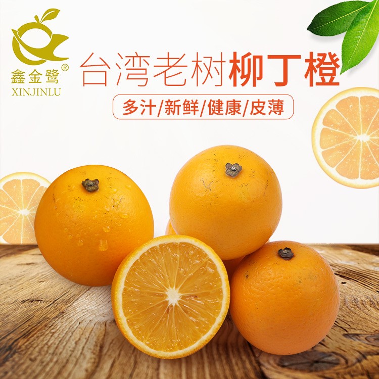 供應(yīng)臺(tái)灣特產(chǎn)柳丁橙6kg 新鮮柳橙甜橙橙子招代理批發(fā)直銷