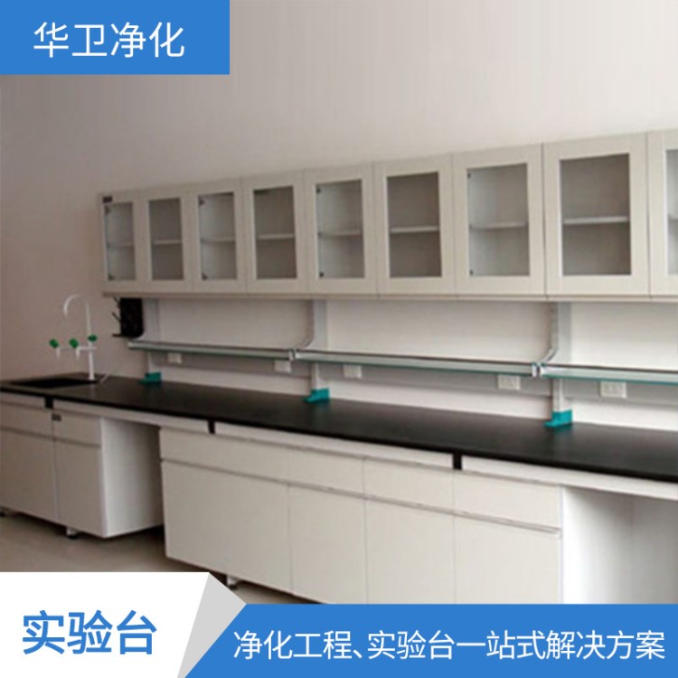 廠家定制實驗室工作臺 試劑架 天平臺藥品柜 氣瓶柜柜通風櫥