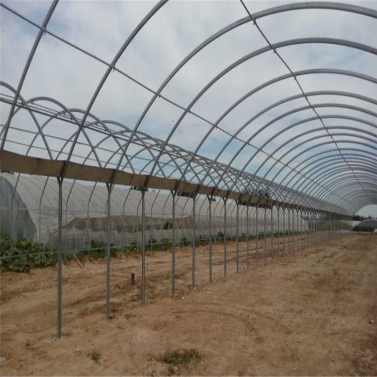 雙拱連體保溫大棚 熱鍍鋅鋼管鋼架 新型連棟冷棚農業種植花園養殖