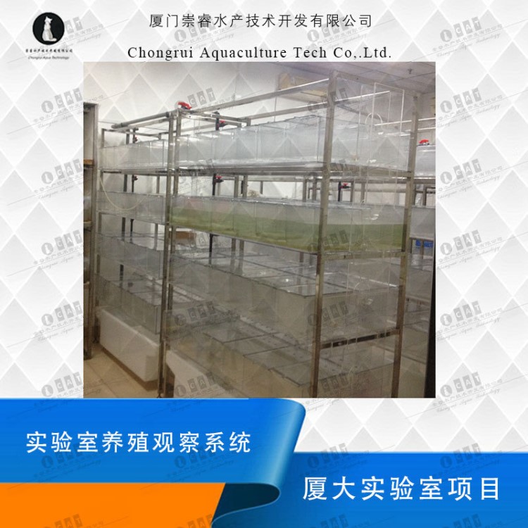 廈大實(shí)驗(yàn)室循環(huán)水養(yǎng)殖系統(tǒng) 魚蝦生長(zhǎng)觀察箱 小型養(yǎng)殖設(shè)備
