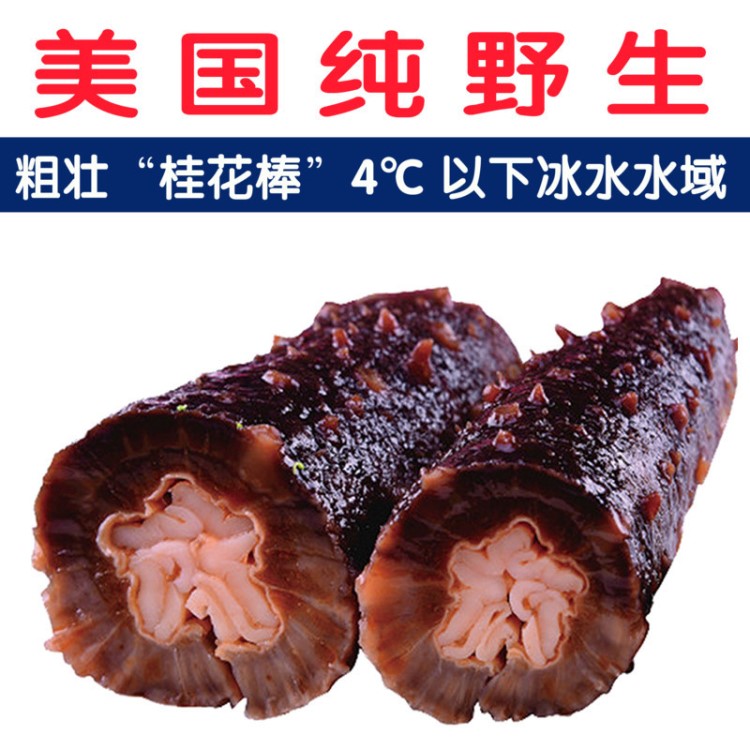 冰河灣野生精品即食海參阿拉斯加刺參深海高壓批發(fā)500g