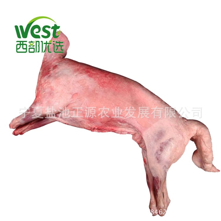 寧夏鹽池灘羊肉整羊四分體-烤肉串烤羊排生鮮肉卷火鍋燒烤全羊