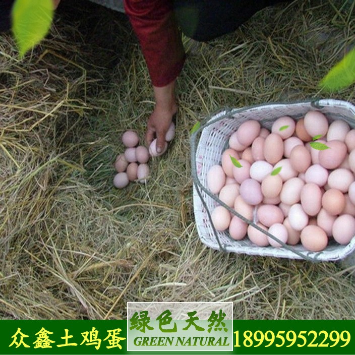 生態(tài)健康營養(yǎng)土雞蛋 農(nóng)家放養(yǎng)柴雞蛋 破損補賠 批發(fā)包郵