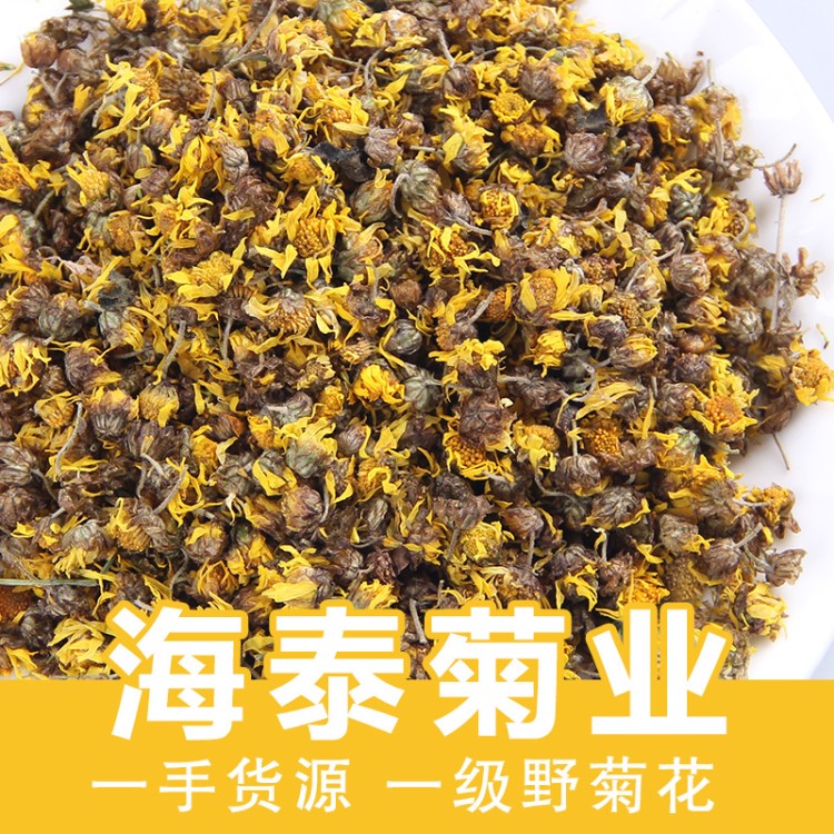 批發(fā)花草茶野菊花小顆粒菊花 大貨供應(yīng)量大從優(yōu)廠家直銷