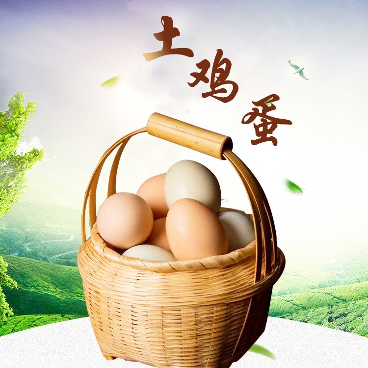 一件代發(fā)土雞蛋草雞蛋笨雞蛋蟲草蛋 農(nóng)家散養(yǎng) 質(zhì)量