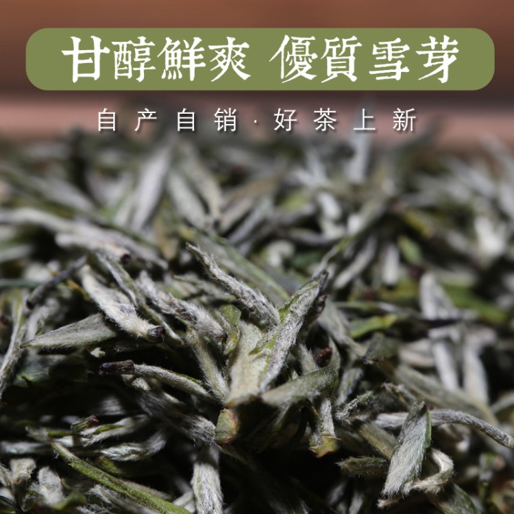 2019宜興陽羨雪芽 特級(jí)新綠茶葉明前前茶廠家批發(fā) 散裝250g