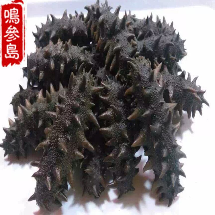 大連半干海參 拉缸鹽野生海參500g 大火候發(fā)量4.5倍 貨量充足