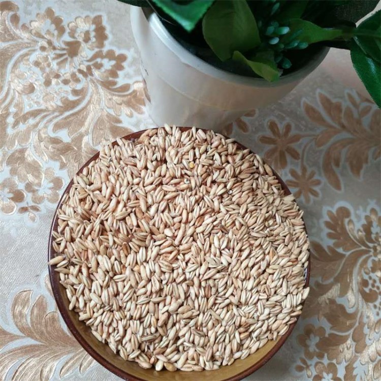 熟燕麥 低溫烘焙熟五谷雜糧 滋補(bǔ)養(yǎng)生品 現(xiàn)磨豆?jié){原料批發(fā)零售