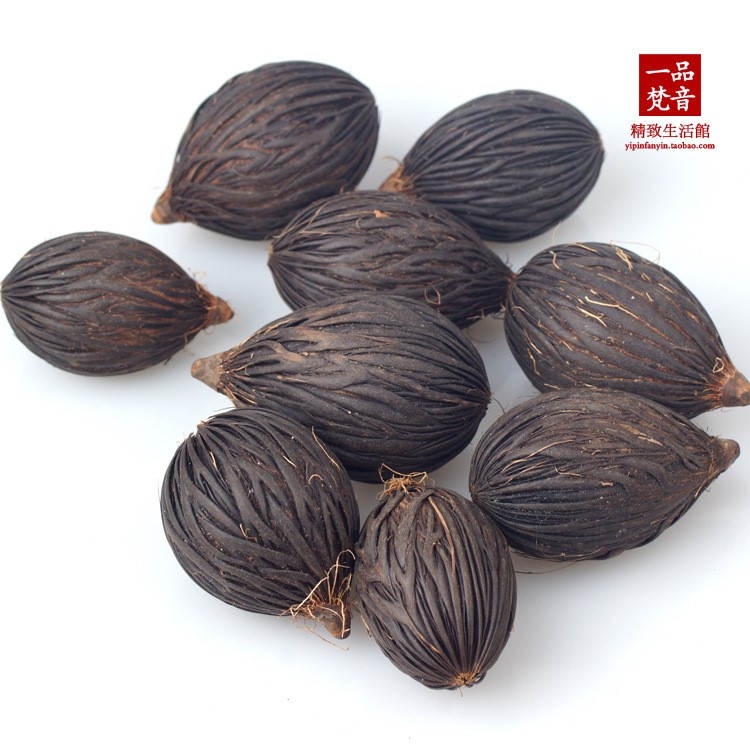 批發(fā)天然千絲菩提子 千絲果菩提通貨 天然原果 按顆起售 廠家直銷(xiāo)