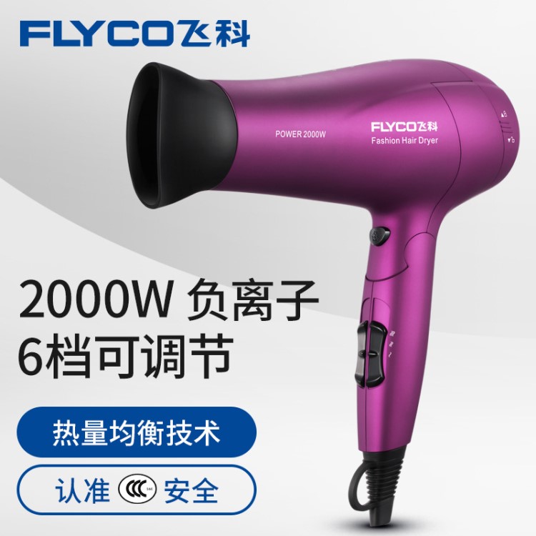 飛科FH6618電吹風(fēng)2000W大功率 負(fù)離子 防過熱保護(hù)一件代發(fā)