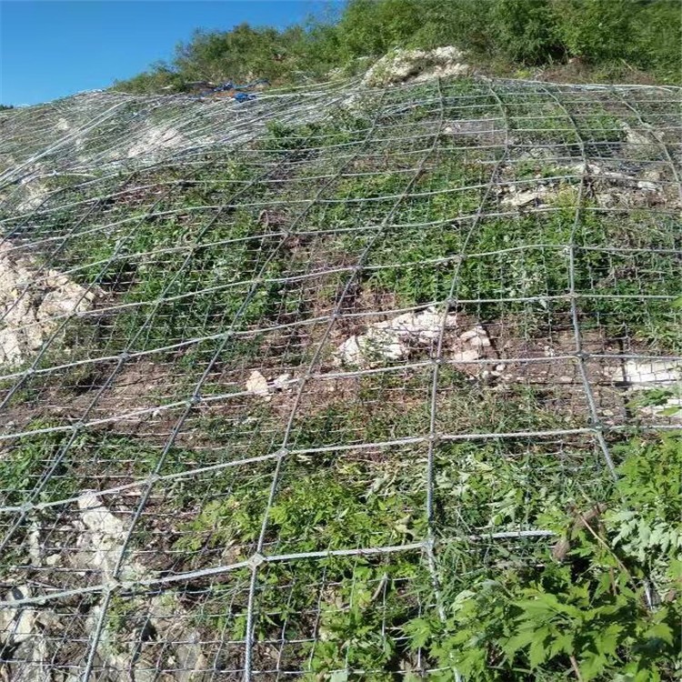 邊坡綠化防護網SNS柔性防護網柔性鋼絲繩防護網安裝 鐵絲網