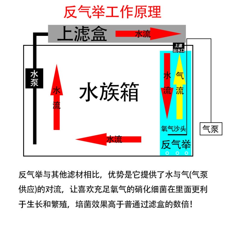 內(nèi)置反氣舉過(guò)濾器DIY流化床過(guò)濾桶濾材自制魚(yú)缸濾筒上過(guò)濾凈水器