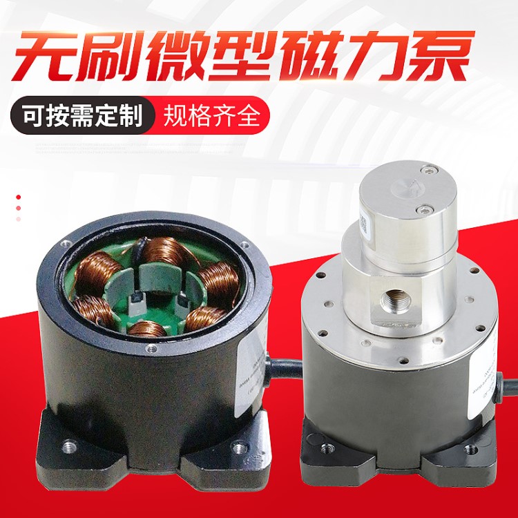 無(wú)刷微型泵電機(jī) 無(wú)刷直流電動(dòng)機(jī) 磁力泵 可定制