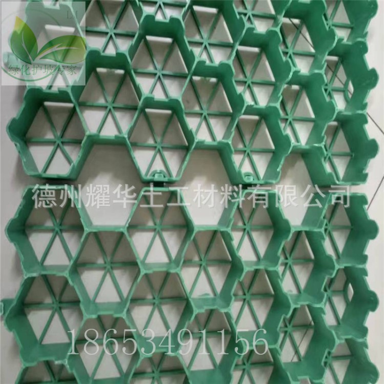 植草格 塑料植草格 綠化植草格 停車場消防通道綠化 園林景觀