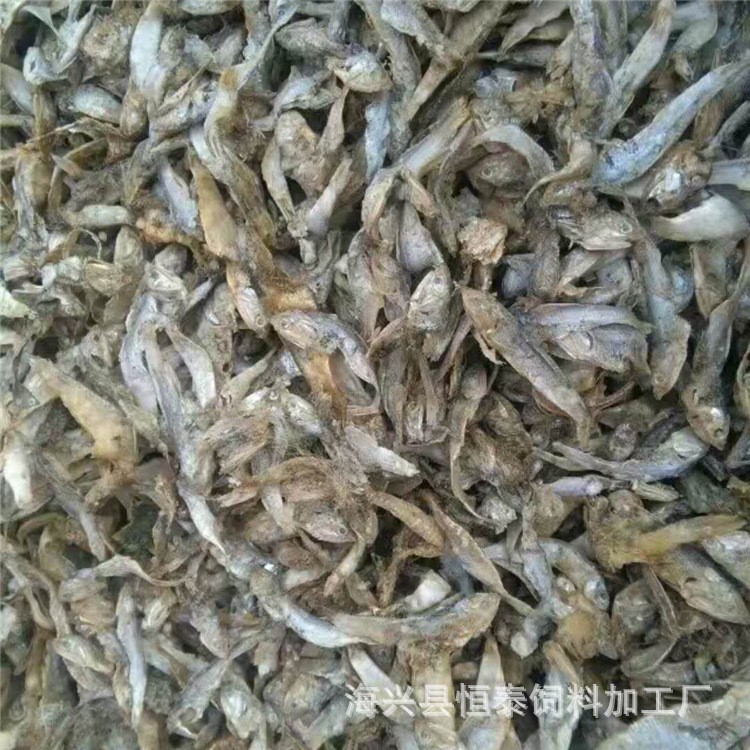 直銷魚干飼料大量供應 各種飼料級魚干質量 飼料級魚干批發(fā)