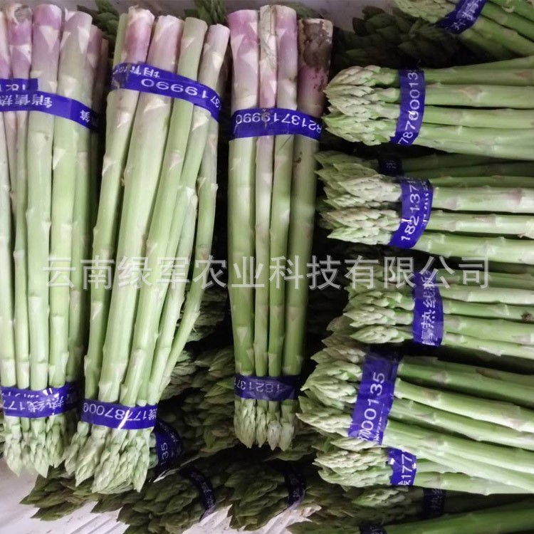 云南特產(chǎn)野菜新鮮蘆筍 精選農(nóng)家青蘆筍 酒店食材綠筍基地大貨批發(fā)