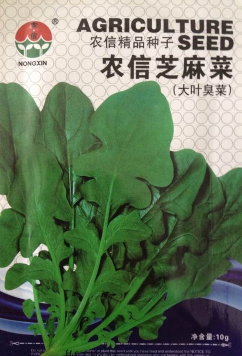 蔬菜種子 農(nóng)信芝麻菜 大葉臭菜 早熟品種 商品性好 保健蔬菜 10克