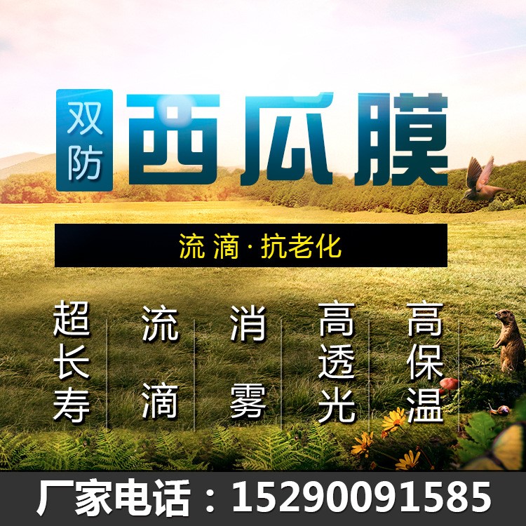 供應(yīng)長壽流滴蔬菜專用膜 溫室大棚西瓜膜 誠招各鄉(xiāng)鎮(zhèn)農(nóng)膜銷售商