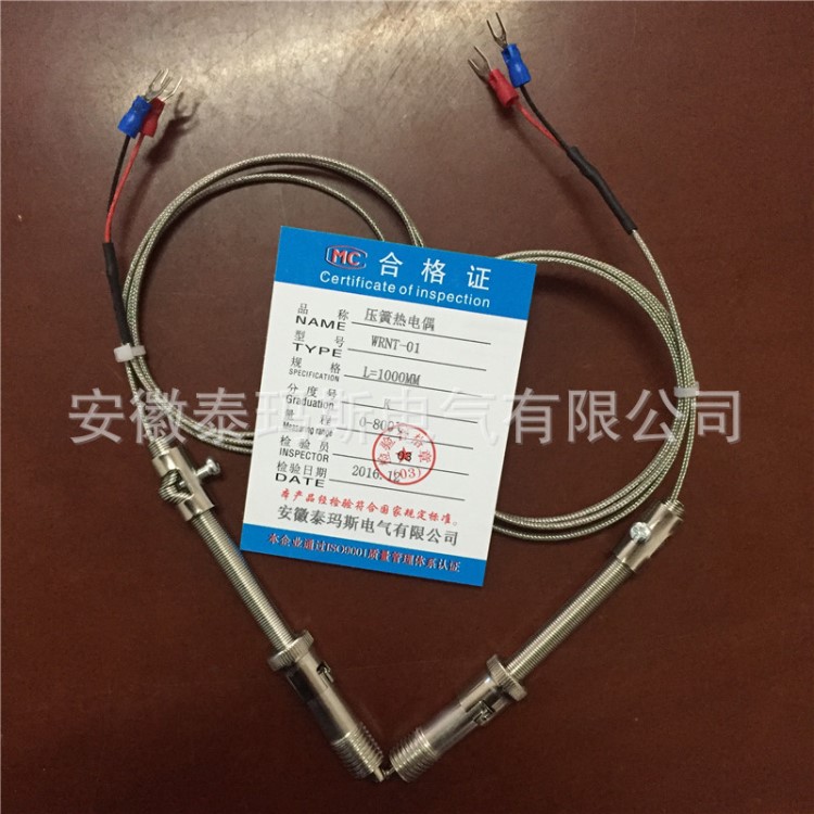 WRNT -01 壓簧熱電偶 壓簧熱電阻 WZPT-01 泰瑪斯