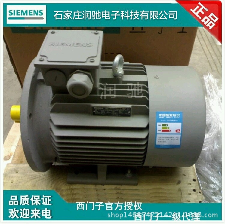 西门子电机代理商1LE0-6P-250KW 1LE0001-3BC63-3FA4 6级立式