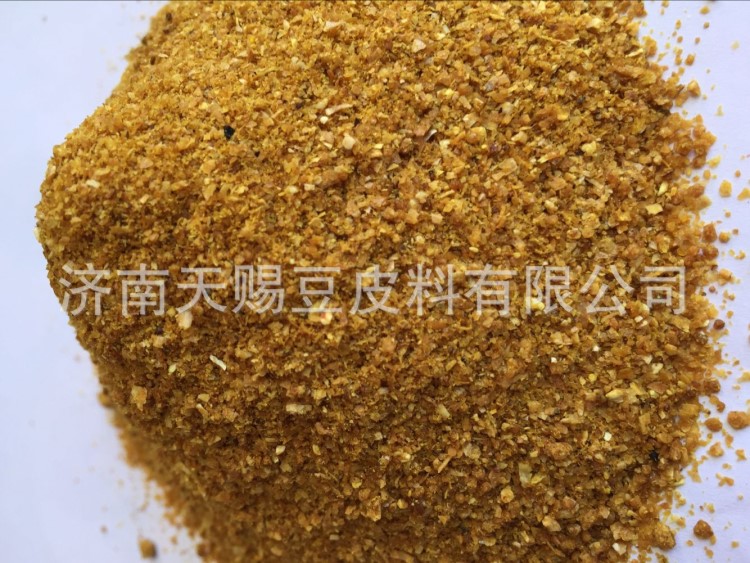 廠家常年直供低脂高脂DDGS飼料 牛羊飼料的好原料