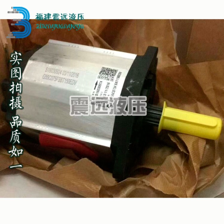 原裝意大利Settima螺桿泵 螺旋泵 注塑機 油壓機油泵G47 2V 50cc