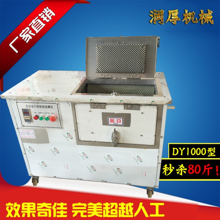 生產脫魚鱗機多功能去魚鱗機自動脫鱗洗魚機質量信賴
