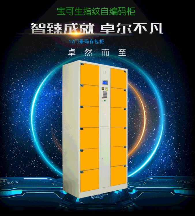廠家直銷 定制智能柜 快遞柜 微信柜 行李寄存柜 刷卡柜 聯網柜
