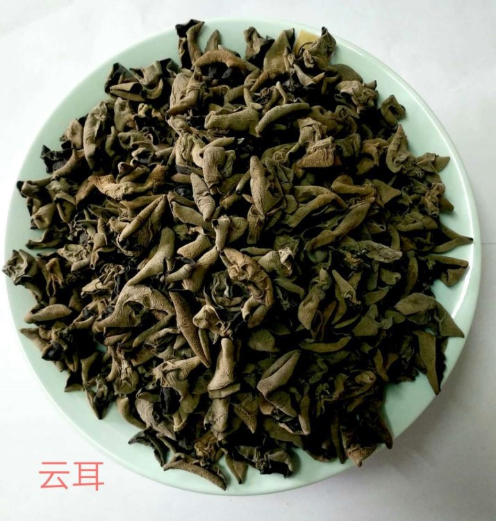 云南小云耳