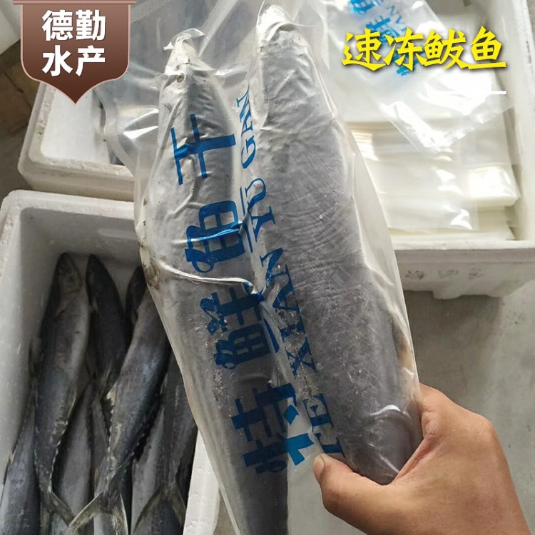 冷冻速冻鲅鱼海鲜 批发销售水产冻品餐饮生鲜冷冻食品半成品