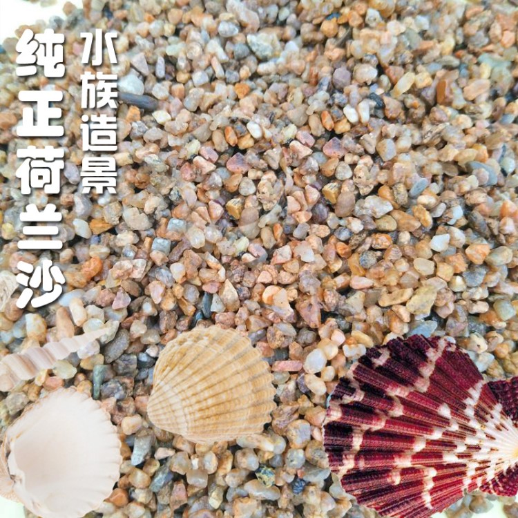 荷蘭矽沙荷蘭砂水草缸魚缸底砂底沙水族箱魚缸水草底砂