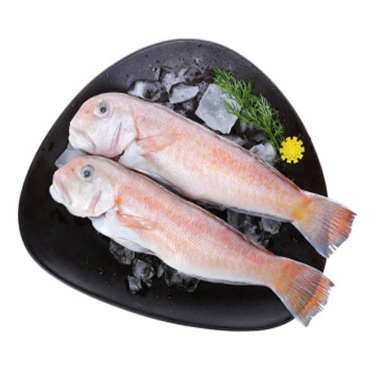 產(chǎn)地貨源野生馬頭魚(yú)刺身海鮮水產(chǎn)新鮮冷凍深海斧頭魚(yú)批發(fā)