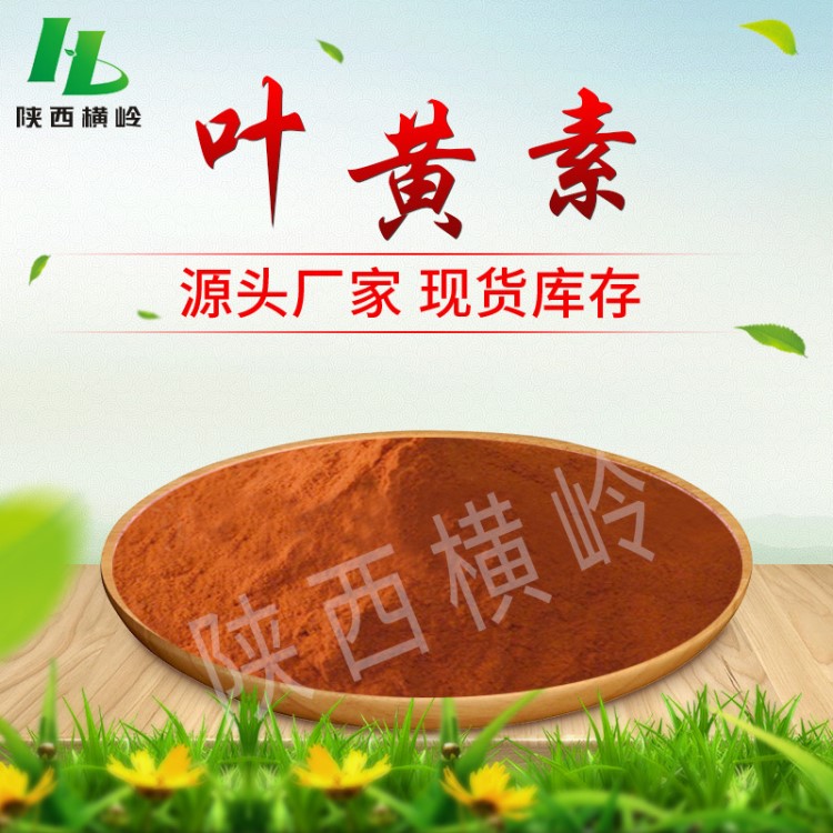 葉黃素10% 萬壽菊花提取物 橫嶺供應 葉黃素提取粉末 量大優惠