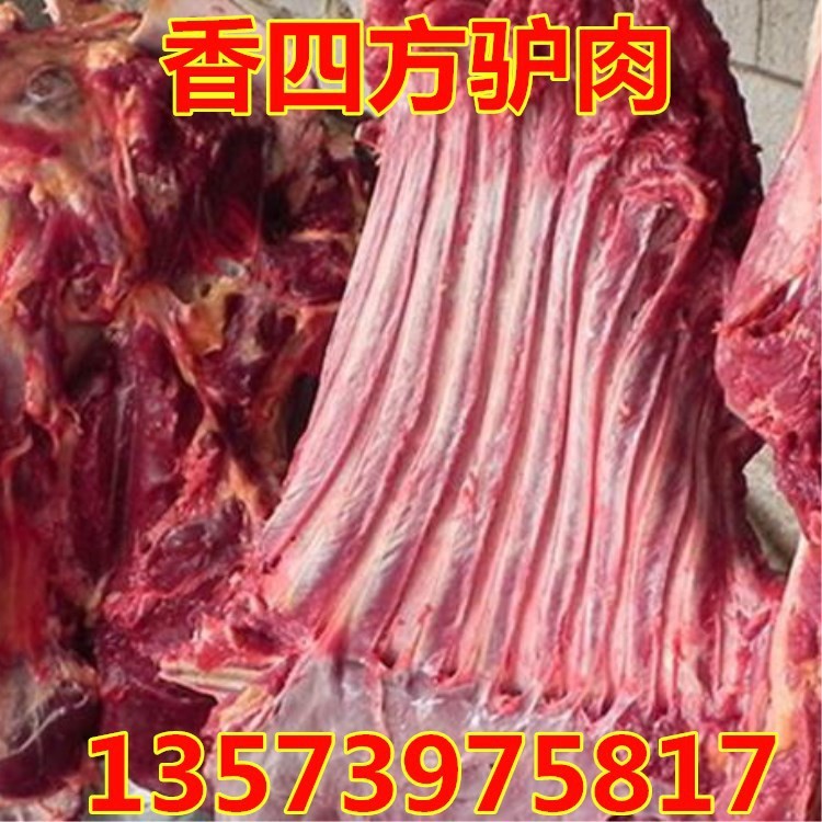 「供應(yīng)」鮮驢肉 山東廠家批發(fā)活驢現(xiàn)宰殺加工分割新鮮不帶皮驢肉