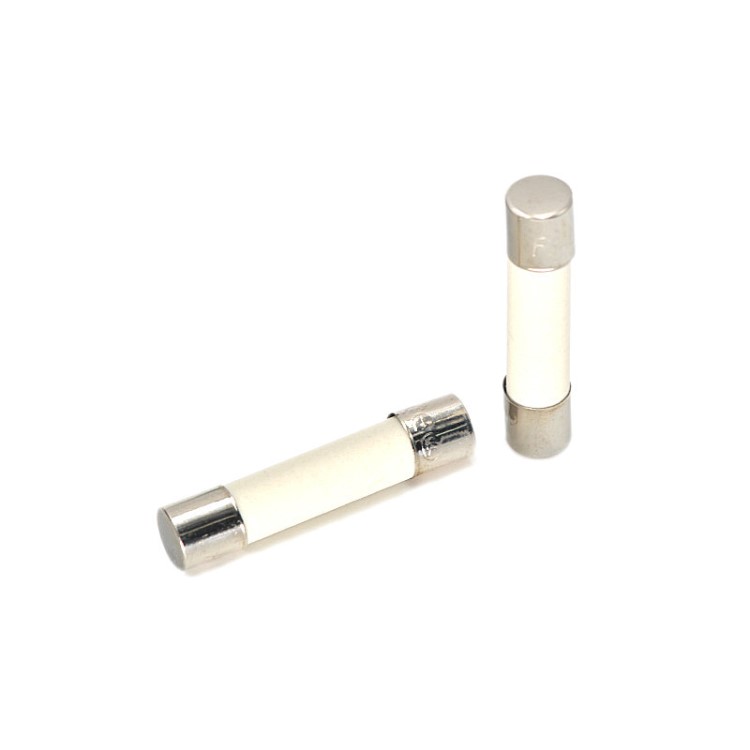 陶瓷保險(xiǎn)管 保險(xiǎn)絲 6*30MM 250V 1（10只）