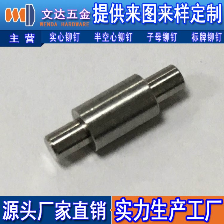 【深圳文達】廠家直銷 門軸鉸鏈 車件定制 車件鉚釘 特殊鉚釘定制