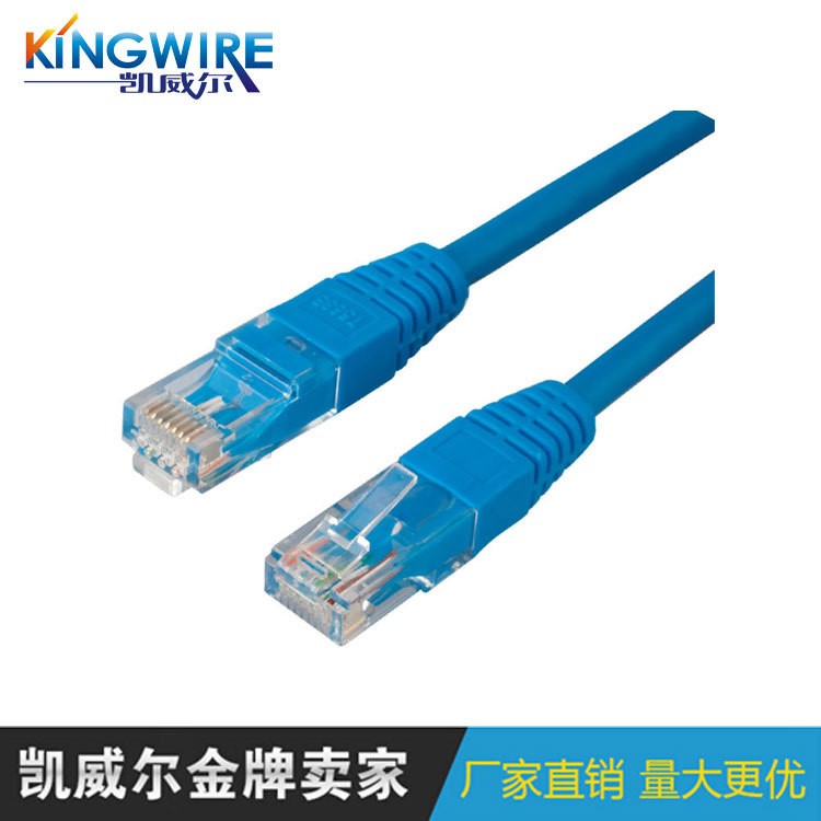 10米cat5e非屏蔽網(wǎng)線超五類銅包鋁網(wǎng)線RJ45機(jī)制成型成品網(wǎng)絡(luò)跳線