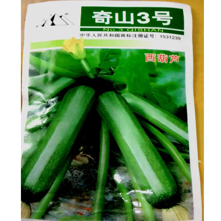 早熟西葫蘆奇山3號(hào) 西葫蘆種子蔬菜種子批發(fā) 深綠色西葫蘆種子