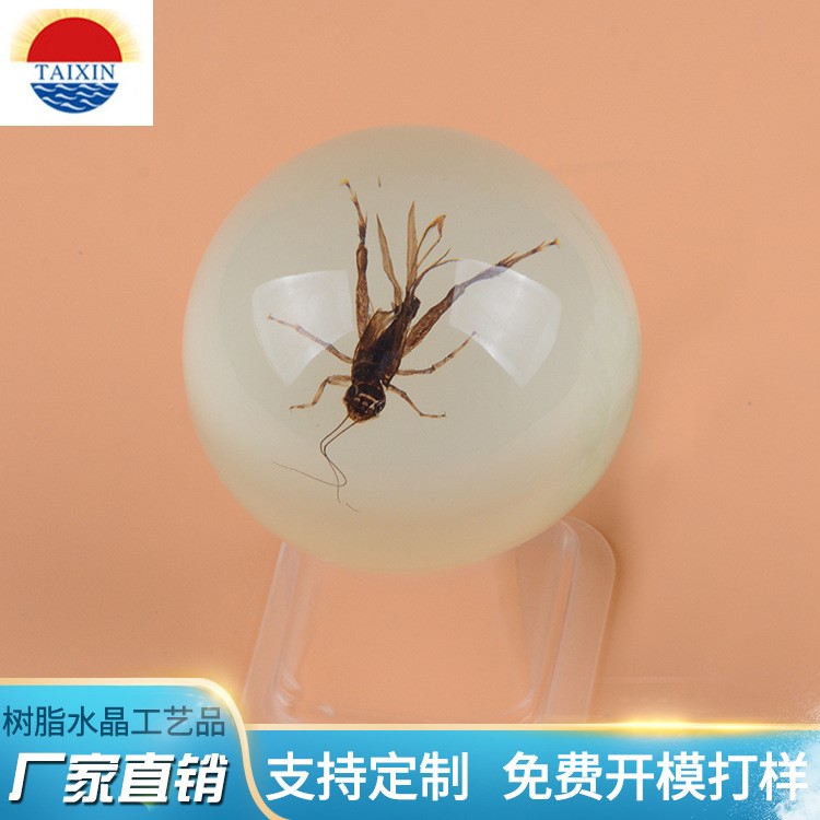 昆蟲標本精美人工琥珀書鎮蝗蟲標本樹脂辦公家居擺飾創意禮品