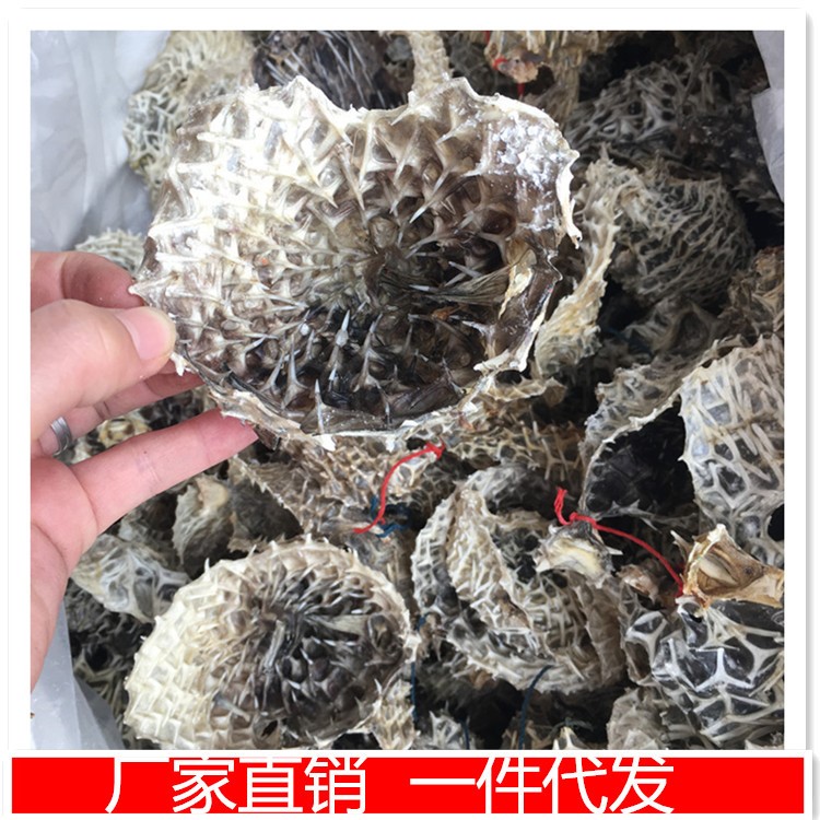 野生刺龜皮 魚皮 龜普膠 海刺猬皮 一件代發(fā)中秋海鮮大禮包