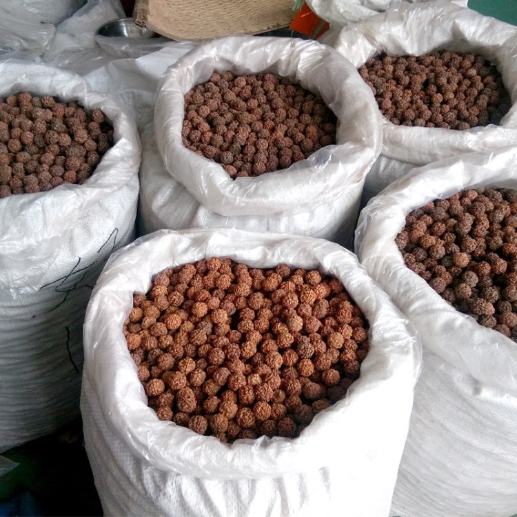 尼泊爾大金剛菩提子手串原籽通貨五瓣散珠108顆精品按斤批發(fā)