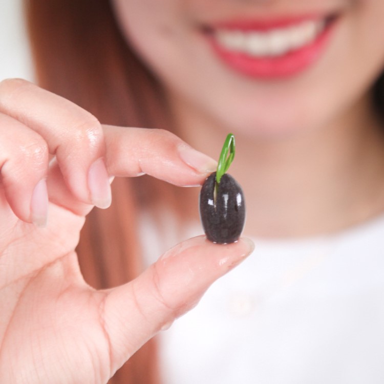 四季播種水培碗蓮荷花種子盆栽蓮子睡蓮藕種子水培蓮花種子易成活